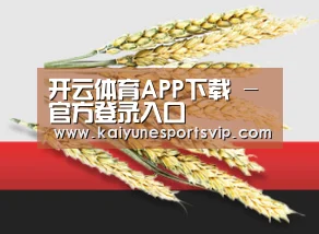 开云体育APP下载 - 官方登录入口